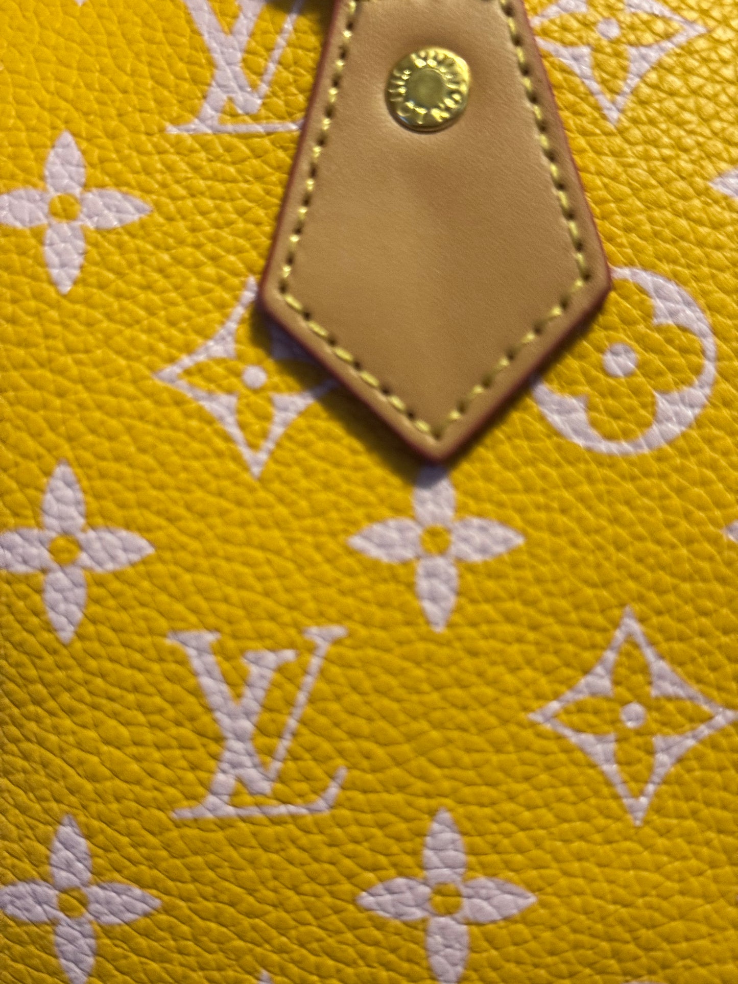 LV Speedy Bag Collection