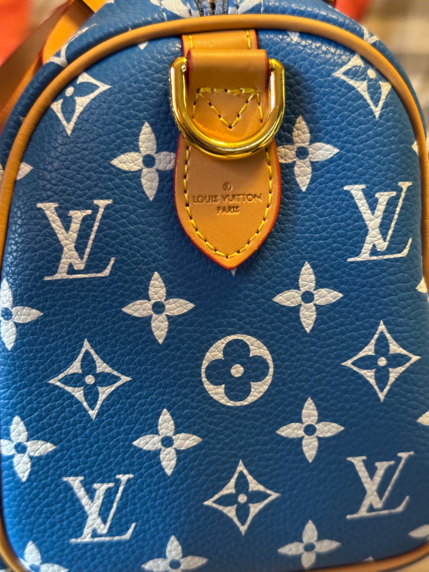 LV Speedy Bag Collection