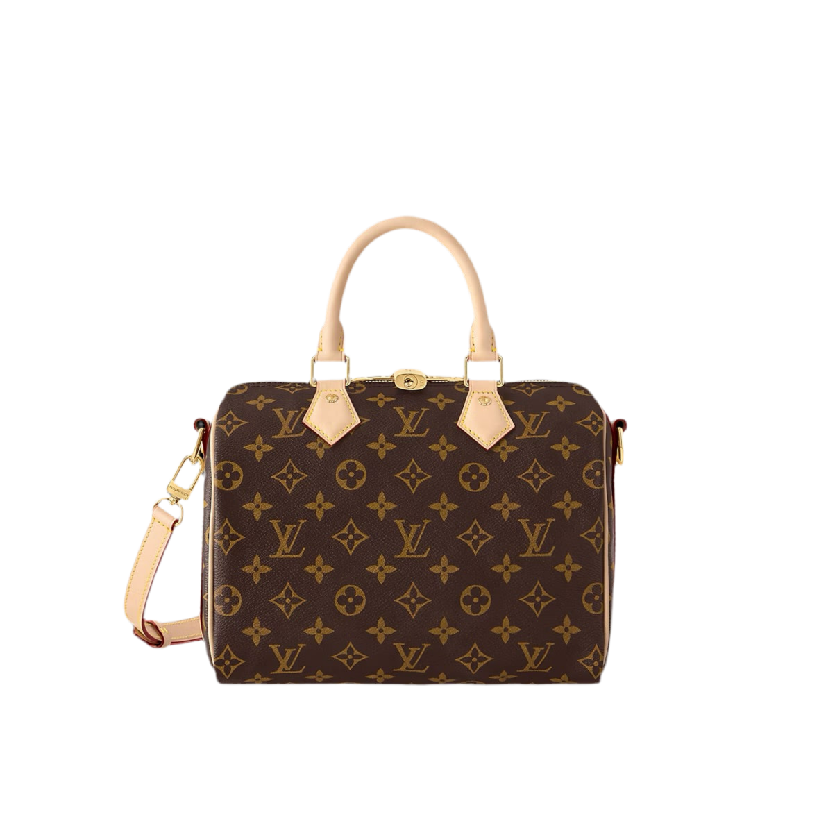 LV Speedy Bag