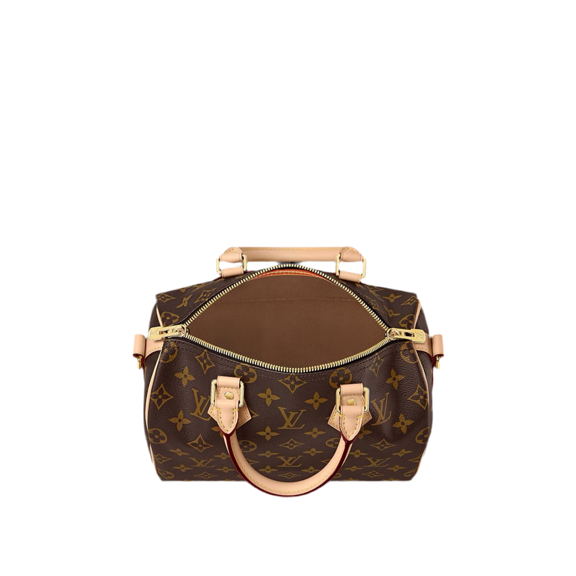 LV Speedy Bag