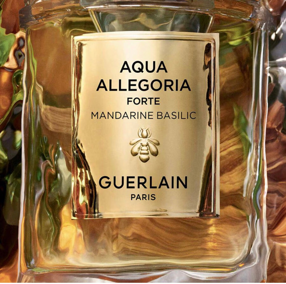 Guerlan Collection