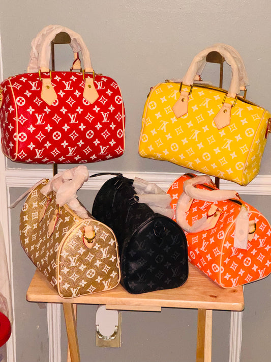 LV Speedy Bag