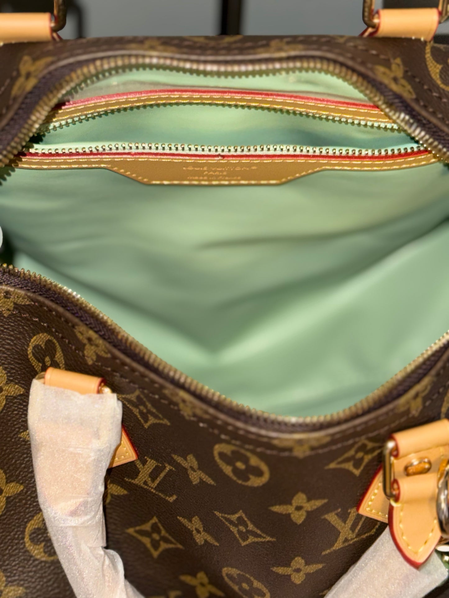 LV Speedy Bag