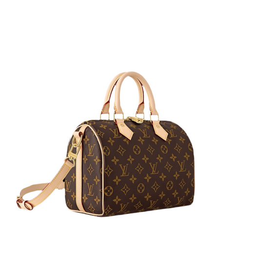 LV Speedy Bag