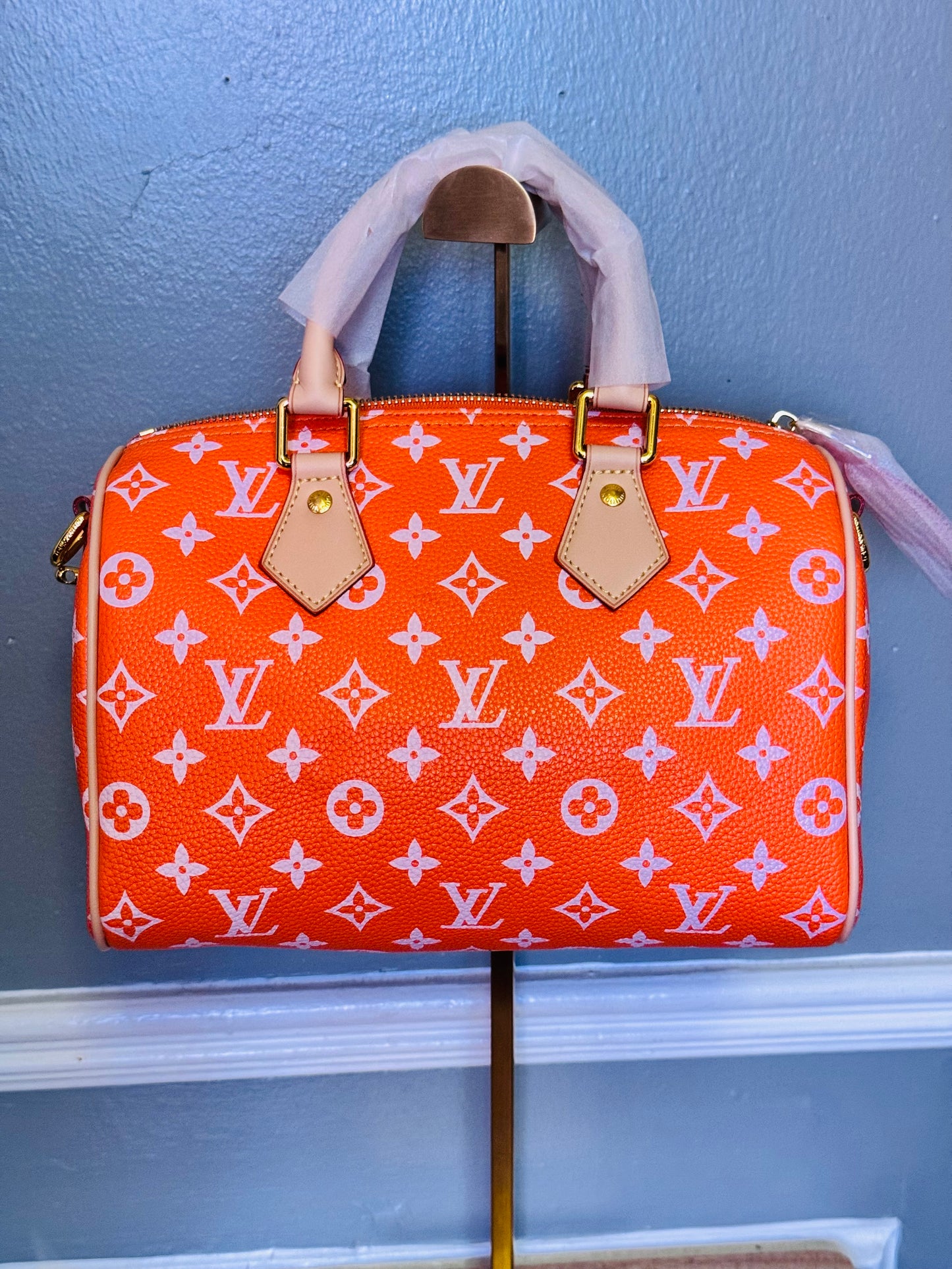 LV Speedy Bag