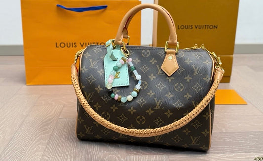 LV Speedy Bag
