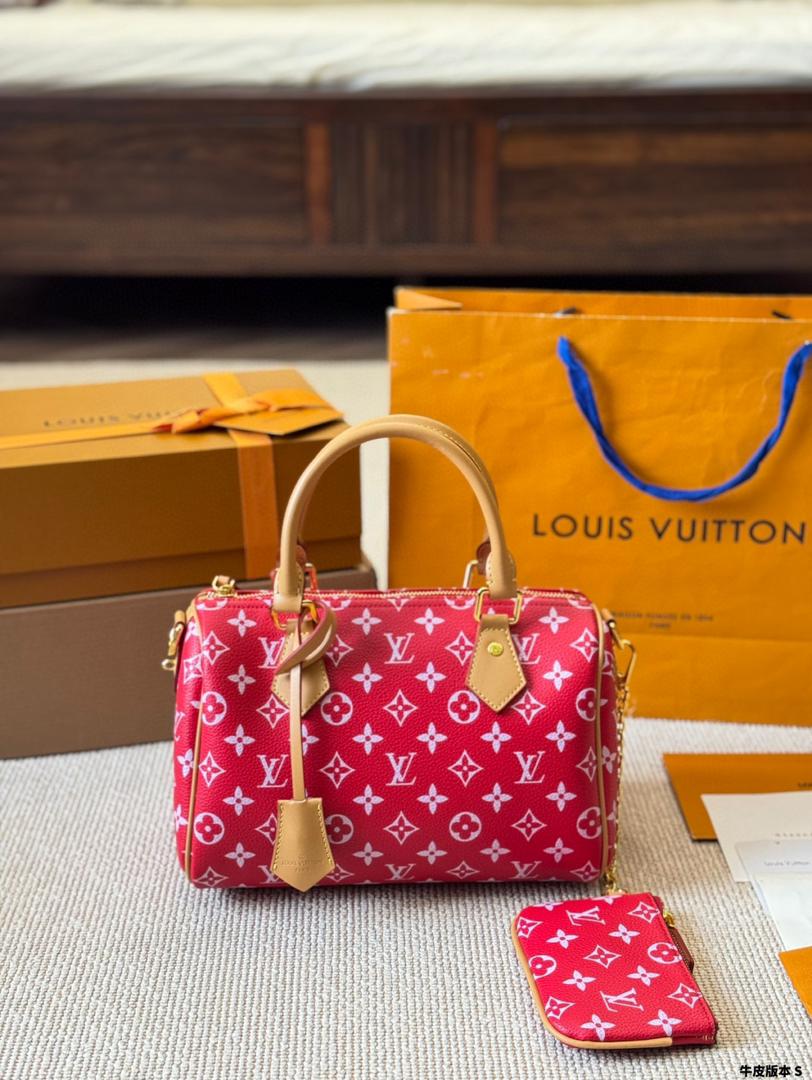 LV Speedy Bag