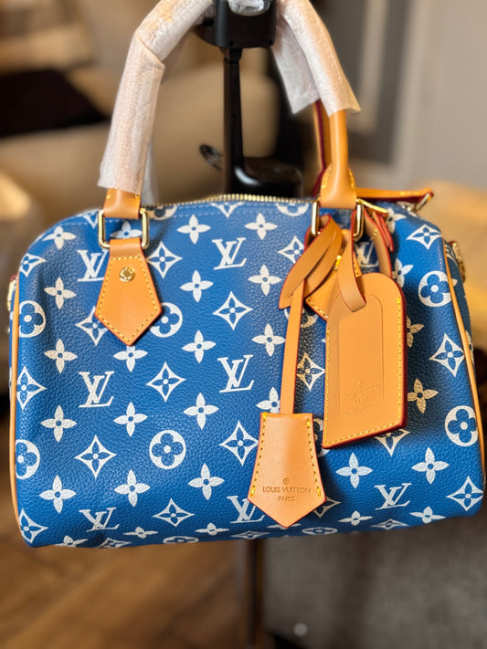 LV Speedy Bag Collection
