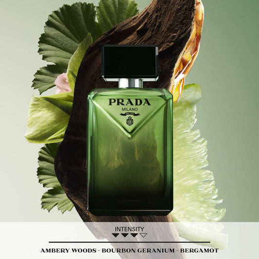 Paradigme for Men